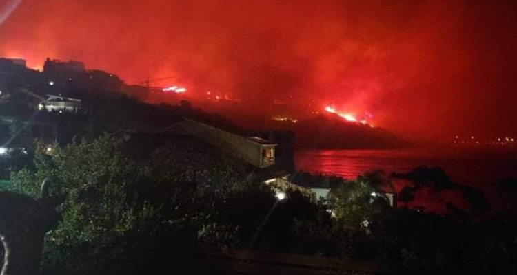 الجزائر: نشوب حريق هائل بإحدى غابات بجاية