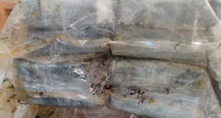 سواحل قابس: العثور على 23 صفيحة من مادة بيضاء اللون يشتبه في كونها  كوكايين