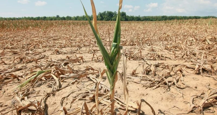 وزارة الفلاحة تعلن عن مشاريع استراتيجية المياه 2050