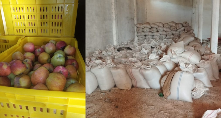 مجاز الباب: حجز160 طنا من القمح الصلب و18 طنا من الغلال