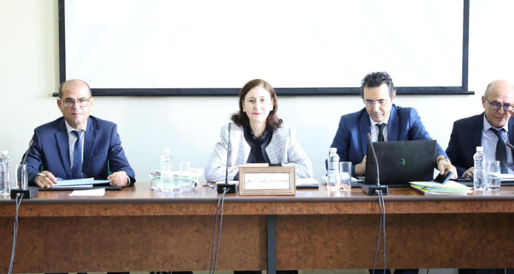 وزيرة التجهيز: الوزارة وضعت برنامجا لتوفير أكثر من 13 الف مسكنا اجتماعيا