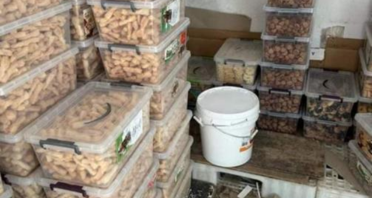 القبض على 37 مفتشا عنه وحجز مواد مخدرة ومواد غذائية فاسدة