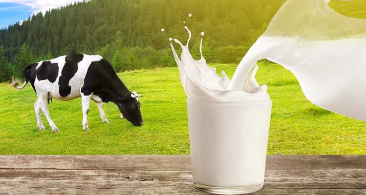 نورالدين بن عياد: تخوّفات من تواصل أزمة الحليب لأكثر من 6 أشهر