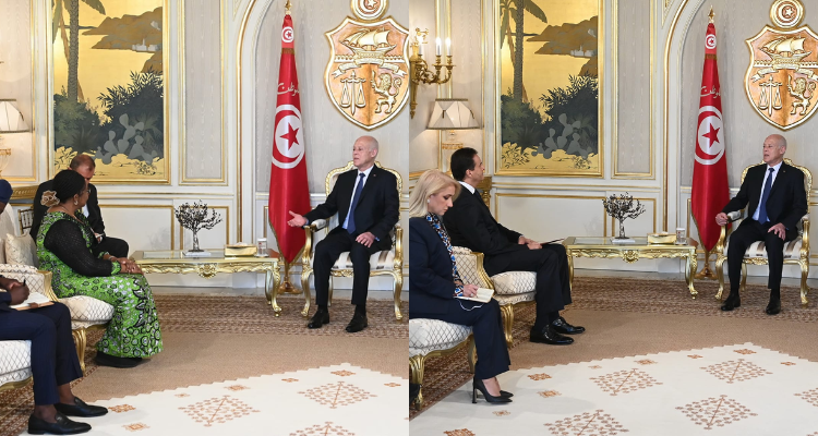 بمناسبة انتهاء مهامهما : الرئيس سعيّد يلتقي سفيرا تركيا ونيجيريا في تونس
