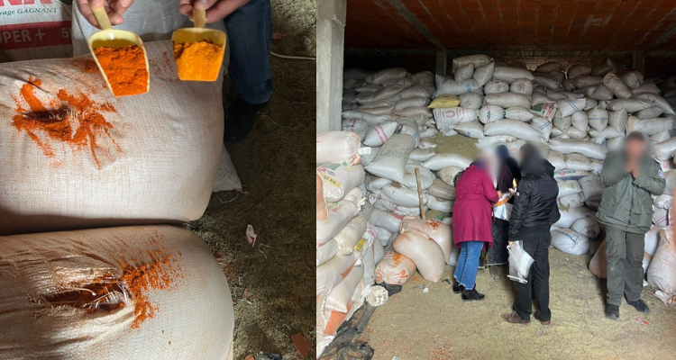 نابل: حجز حوالي 600 طنا من التوابل المعدّة بمواد كيميائية