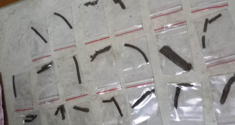 جندوبة: إيقاف شابين و حجز 12 قطعة من ''الزطلة''   