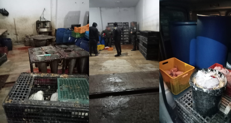 دوار هيشر : الكشف عن مستودع عشوائي لذبح الدواجن