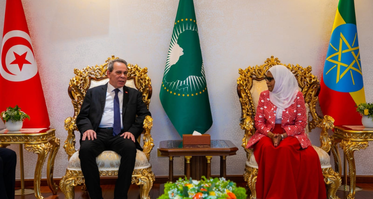 الحشاني يصل الى أديس أبابا للمشاركة في مؤتمر دول وحكومات الاتحاد الافريقي