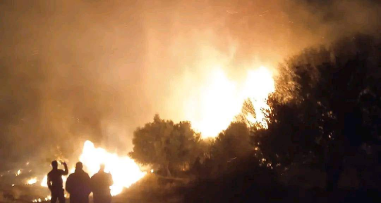 القيروان: السيطرة على حريق أتى على مساحة 10 هكتارات في حفّوز