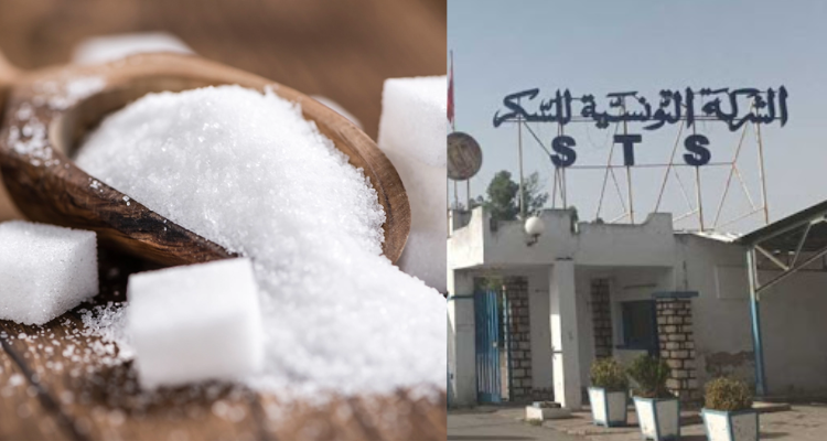 غدا: مصنع السكر بباجة يستأنف نشاطه