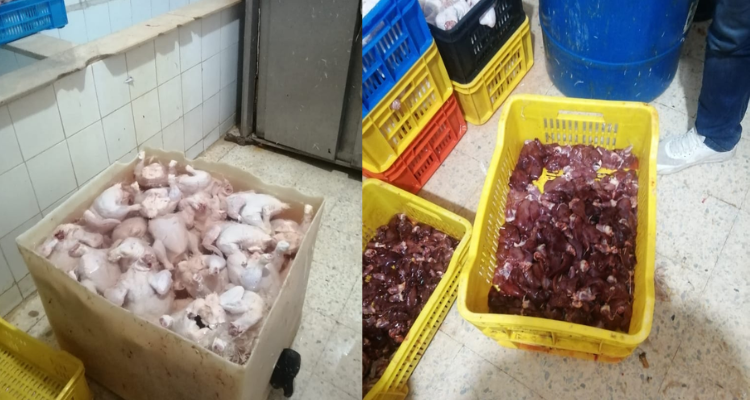 المنيهلة: الكشف عن مسلخ عشوائي لذبح الدواجن