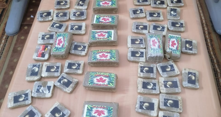 مدنين: إحباط محاولة تهريب 50 صفيحة ''زطلة''