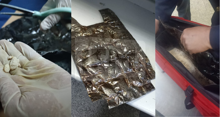 ضبط أكثر من 2 كغ من المخدّرات لدى مسافر أجنبي بمطار تونس قرطاج