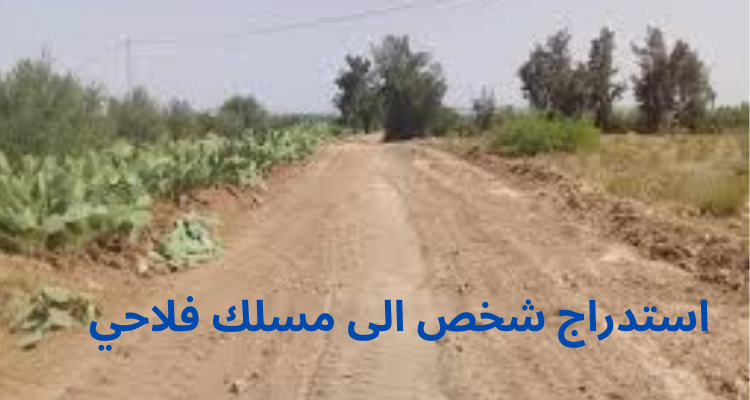 منوبة: مجموعة تستدرج شخص الى مسلك فلاحي وتحاول اغتصابه باستعمال العنف