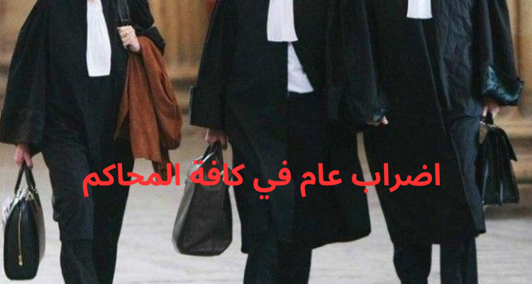 هيئة المحامين تقر اضرابا عاما بكافة محاكم الجمهورية غدا