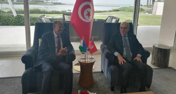 نبيل عمّار يلتقي  وزير خارجية جيبوتي