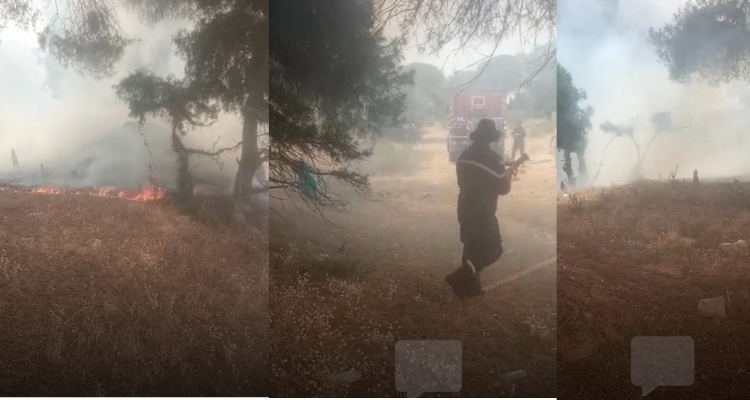 السيطرة على حريقين بكل من غابة عين كميشة بنابل وملول بقليبية