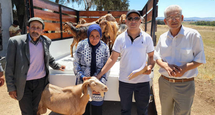 جندوبة : تمكين 12 أسرة من مشاريع إيكولوجيّة