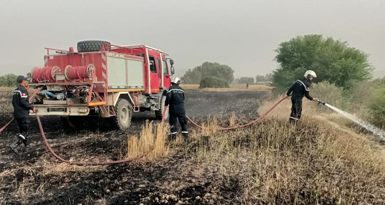 بنزرت: نشوب حريق بمزرعة قمح  بجهة منزل بورقيبة