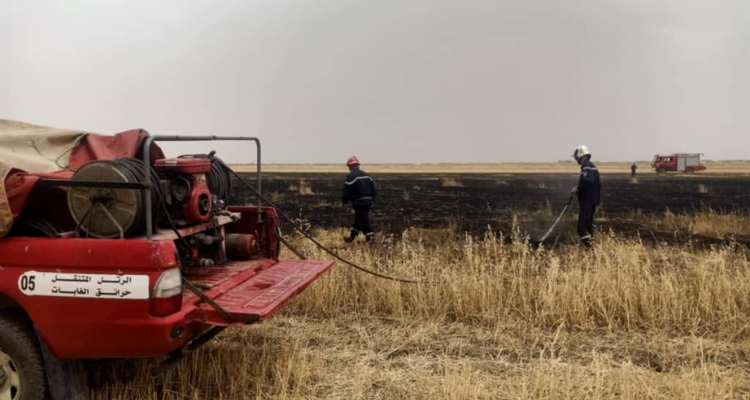 بنزرت : حريق يأتي على اكثر من 25 هكتار من القمح و 6 هكتارات حصيدة