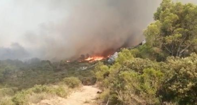 سليانة: السيطرة على حريق جبل مزاتة ببرقو