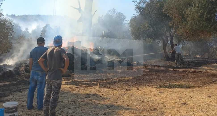 نفزة: السيطرة على حريق أتلف 300 قالب من التبن و هكتارين من الغابات في دوار الكرايمية