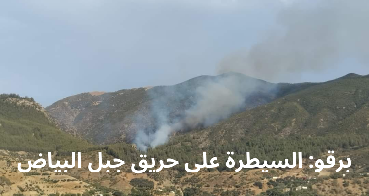 سليانة: السيطرة على حريق جبل البياض ببرقو