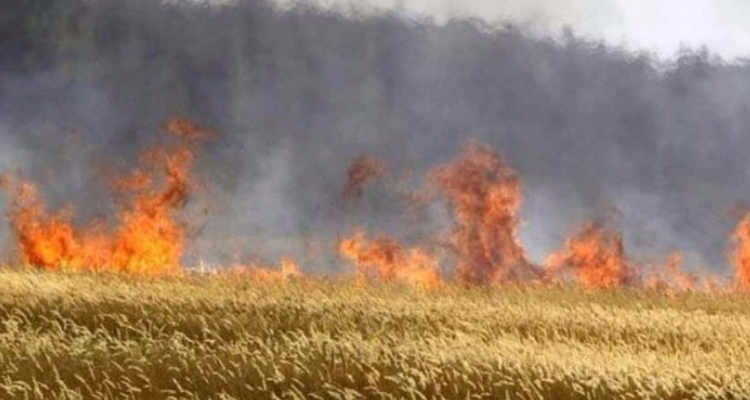 بنزرت: حريق بضيعة ''الفيرمة''يتسبب في إصابة 10 أشخاص بحروق