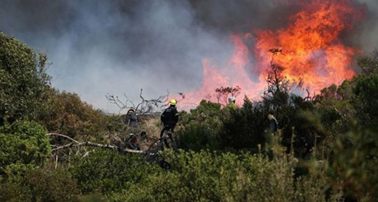 باجة: السيطرة على حريق جبل الديس بنفزة