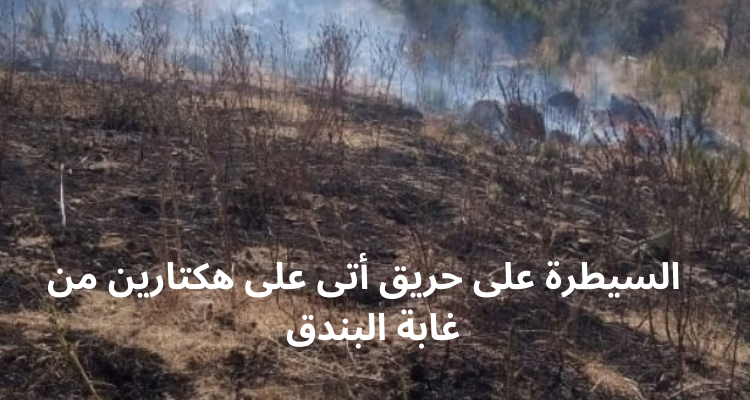 نابل: السيطرة على حريق نشب بغابة البندق ببني خيار