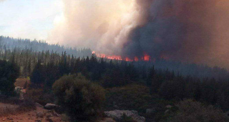 باجة : صعوبات في السيطرة على حريق يهدّد  منازل السكان بجبل ''زاقا'' بنفزة