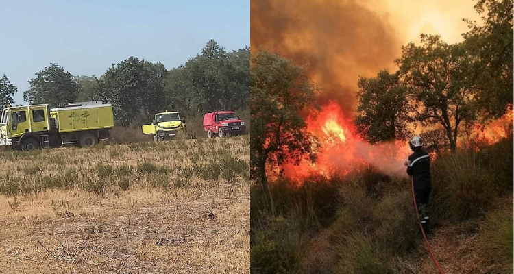 أعوان الحماية المدنية التونسية والجزائرية يسيطرون على حريق شبّ بعمادة الصريّا الحدودية