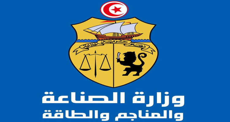 تعيين القاضي العدلي رضا موسي رئيسا للجنة الاستشارية للمناجم بوزارة الصناعة