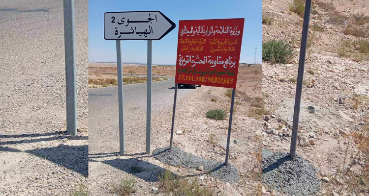القصرين: احداث 6 مراكز تعقيم للوقاية من "الحشرة القرمزيّة"