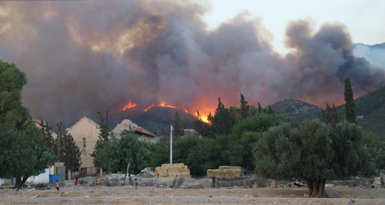 إندلاع حريق بجبل عين بوسعدية ببرقو
