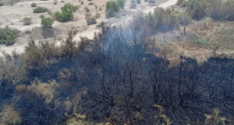 قفصة/ المظيلة: نشوب حريق قرب إحدى منشآت شركة الفسفاط