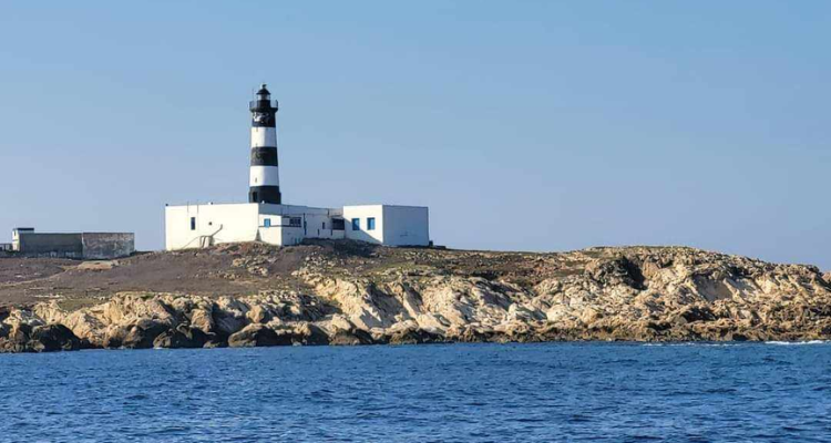 بنزرت : إحباط عملية ''حرقة ''لـ17 شخصا  بينهم 3 مصريين 