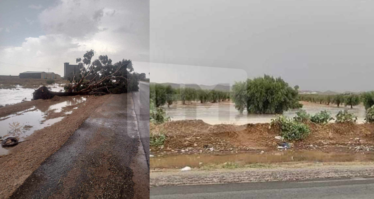 سيدي بوزيد:  أمطار غزيرة  ورياح قوية  تتسبب في سقوط أشجار