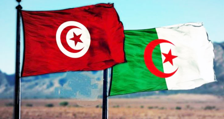 وزير الخارجية يؤدي زيارة عمل بيومين إلى الجزائر