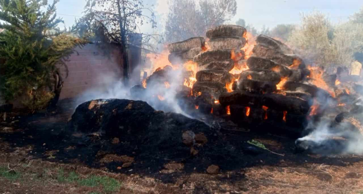 باجة: تجدد اشتعال النيران بجبل عين بلوين واندلاع حريق اخر في تبرسق