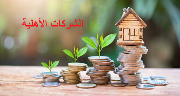 أعضاء مجالس إدارة الشركات الأهلية يدعون  إلى ضرورة الترفيع في سقف تمويل المشاريع