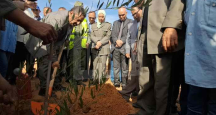 بن قردان: مركز التربصات والتخييم يحتضن الاحتفال الجهوي لعيد الشجرة