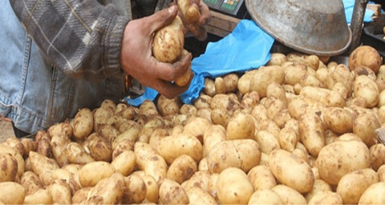 بنزرت :  تركيز نقطة لبيع مادة البطاطا  بالتفصيل في منزل بورقيبة