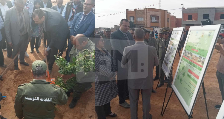 والي تطاوين يأذن بافتتاح موسم التشجير الغابي 