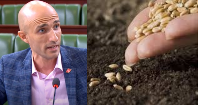 محمد علي فنيرة: ولاية نابل لم تتحصل الا على 30% من كمية البذور الممتازة