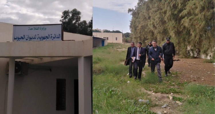 والي القصرين في زيارة غير معلنة الى مقر الدائرة الجهوية لديوان الحبوب