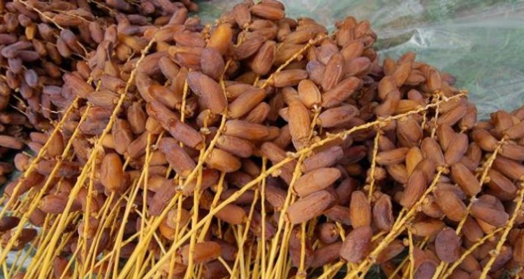 بن عروس: حجز حوالي 120 طن من الدقلة تم  تخزينها بطريقة غير قانونية