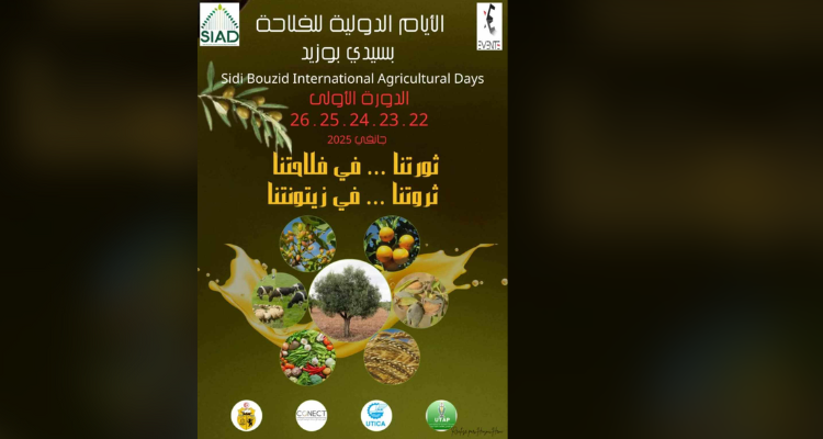 ولاية سيدي بوزيد تستعد لاحتضان الايام الدولية للفلاحة في شهر جانفي