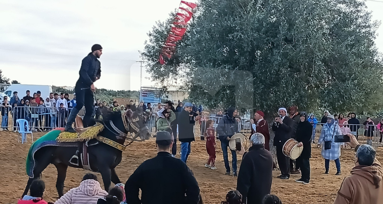 القيروان: انطلاق المهرجان الدولي للزيتونة الرومانية بالمساعيد في دورته السابعة