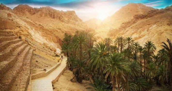 قبلي: فلاحو منطقة الرحمات يطلقون نداء استغاثة